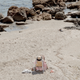 Image for article titled Summer Reading Diary: My Endless Bummer